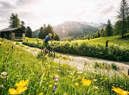 Available at specialty bike shops, the bikes range in price from $300 to $600 for comfort bikes, $400 to $1,000 for fitness bikes, $250 to $600 for mountain bikes, and $500 to $7,000 for road bikes. Mfocdlsbkkldnm