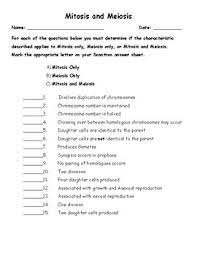 Released test questions 5th grade science. Mitosis Vs Meiosis Worksheet By Mr Smiths Reading Essentials Tpt