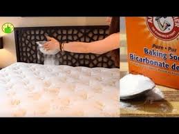 Her House Always Smells Amazing And People Don T Know Why This Is Her Secret Youtube Mattress Cleaning Mattress Deodorize Mattress