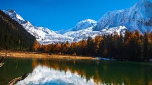 冬游多彩波密感受西藏魅力- 中国日报网