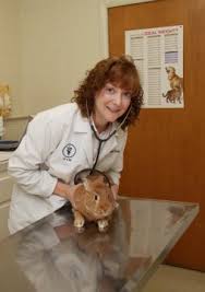 Save big w/ 5 banfield pet hospital coupons & deals (verified today). Veterinarian In Springfield Mo Angel Animal Hospital