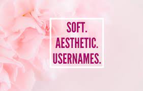 So, if you're looking for a username that is aesthetically pleasing and will make people look twice, then consider one of these: 26 Super Soft Aesthetic Usernames Bridal Shower 101