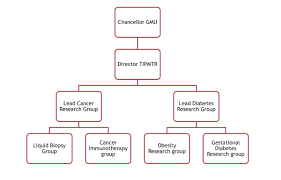 tripm organization chart gulf medical university ajman