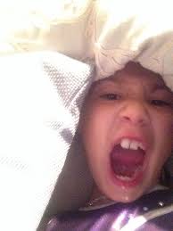 Ava Warner (ava0245)