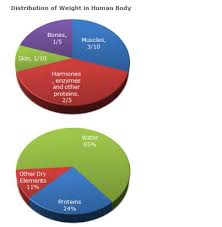 Questions On Data Interpretation Table Charts Bar Charts