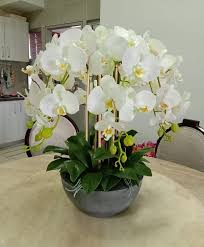 Potong span kering mengikut saiz pasu dan isikan sehingga penuh permukaan pasu. Bunga Orkid Putih White Latex High Premium Quality Decoration Artificial Fake Silk Flower Phalaenopsis Orchid Floral Party Home Wedding Party Hotel Decoration Lazada