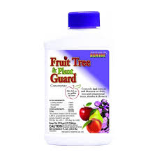 Bonide Fruit Tree And Plant Guard Concentrate Free Shipping