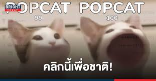 16 สิงหาคม 2564 0:49 น. A6jn W3jg0jr9m