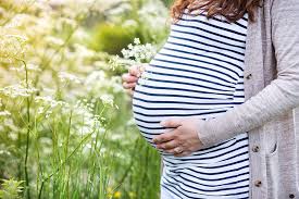We did not find results for: The Pregnant Gardener Health Beat Spectrum Health
