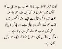 ‫نکاح کے معنی و مفہوم: لفظ نکاح باب نَکحَ یَنْکِحُ (منع، ضرب ...‬‎