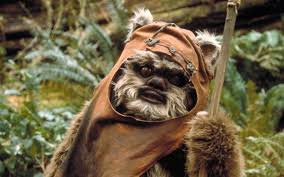 Diy Star Wars Ewok Costume For Kids Halloween Diy Maskerix Com