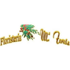 We did not find results for: Cultivadores De Flores Floristerias Miranda De Ebro The Best In Town Opendi