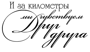       (46 )  ,      