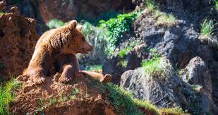 The population was 6,130 as of the 2010 census. 20 Best Things To Do In Kodiak Alaska