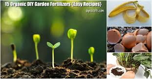 They are better than the quick release fertilizers as they promise more even growth in the trees. 15 Organic Diy Garden Fertilizer Recipes That Ll Beautify Your Garden Diy Crafts