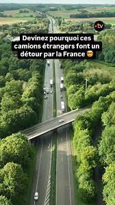 Impact des camions étrangers sur la France | TikTok