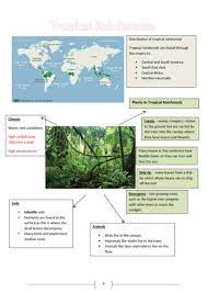 Maybe you would like to learn more about one of these? Tropical Rainforests Revision Booklet New Aqa Gcse Geography 9 1 Teaching Resources