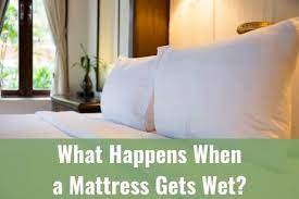 What Happens When A Mattress Gets Wet Ready To Diy