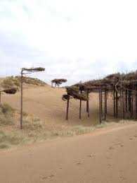 What is there to do on formby beach? 19 Formby Beach Ideas Beach Outdoor Picture Tree
