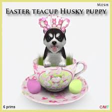 If you're looking for a teacup puppies for sale,teacup puppies for sale near me,teacup yorkie puppies for sale,teacup pomeranian puppies for sale $250,tiny teacup puppies for sale,teacup dogs for sale,tea cup puppy, welcome! Second Life Marketplace Easter Teacup Husky Puppy Boxed