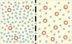 Osmosis and diffusion simple explanation via powerpoint animation hindi by solution pharmacy youtube. Osmosis Definition In Chemistry And Biology
