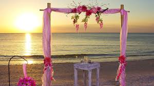 Pngtree offers hd wedding background images for free download. Romantic Beach Flowers Sunset Ocean Photography Pink Wedding Background Full Hd 2188303 Hd Wallpaper Backgrounds Download