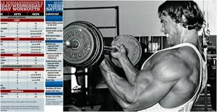 Arnold Schwarzeneggers Unbelievable Workout Schedule From 1974
