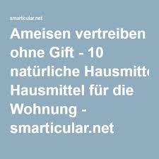 Ameisen Vertreiben Ohne Gift 10 Naturliche Hausmittel Fur Die Wohnung Ameisen Vertreiben Hausmittel Naturliche Hausmittel
