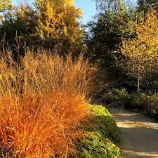 Der garten im herbst präsentiert leuchtende farben. Gartentechnik De