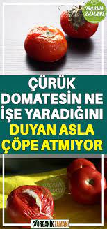 hayati kolaylastiran yontemler food health fitness tomato