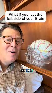 Learn what the left side of your brain does for you