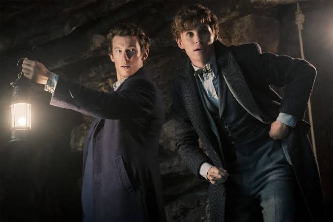 How 'Fantastic Beasts' Became Hollywood's Most Cursed Franchise | Vanity  Fair