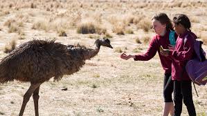 Today, more than 30,000 species are threatened with extinction, and thousands would already be lost without tireless conservation efforts. Emu Runner Review An Aboriginal Girl S Avian Friendship Variety