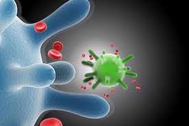 Pengobatan kanker serviks ini pun sudah banyak dikembangkan mulai dari yang sangat mahal sampai yang biasa saja tergantung tahapan dari penyakit ini. Mengenal Hpv Virus Yang Sebabkan Kanker Serviks Hingga Kutil Kelamin Halaman All Kompas Com