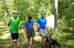 Image result for blind people in the forest