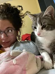 Hello everyone, this is my cat Rufus , he got outside of the house monday  night around 10 pm