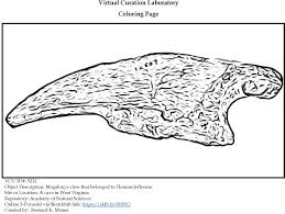 Men coloring pages ni hao, kai lan coloring pages peter. Coloring Page For Another Megalonyx Claw That Belonged To Thomas Jefferson The Virtual Curation Laboratory