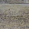 How do you remove stains from wood table? Https Encrypted Tbn0 Gstatic Com Images Q Tbn And9gctf1tsr0pzpvpuz1yh4 Cvw Juf 3e7e Eyksqlivufjpyrots Usqp Cau