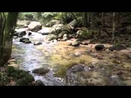 Nur laman bestari resort is located at sungai tua recreational forest, near ulu yam that is popular as a picnic and bathing. Sungai Tua Recreational Forest Selangor Destimap Destinations On Map
