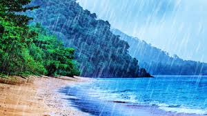 Image result for rain pictures