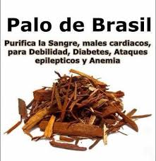 Palo De Brasil Hierbas Curativas Hierbas Y Remedios Naturales