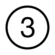 Circled 3 Icon