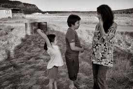 Image result for Emiliella exigua