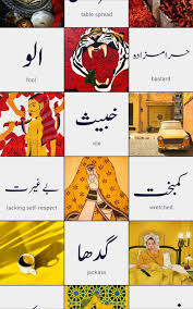 Aesthetic meanings in urdu are جمال یا جمالیات سے مُتَعلق, خوش ذوقی پر مبنی, ذوق جمال رکھنے والا aesthetic in urdu. An Interview With Words In Urdu American Pakistan Foundation