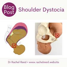 Profile for Leslie Cuffee -Professional Birth Doula Services