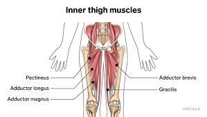 Maybe you would like to learn more about one of these? The Ultimate Inner Thigh Workout 5 Of The Best Inner Thigh Exercises