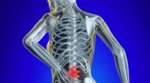 La Gestion Des Troubles Musculo Squelettiques Tms Le Nouvel Economiste