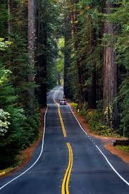 Hours may change under current circumstances Coast Redwoods Redwood National Park Facts Photos And Redwood Hiking Trails