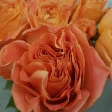 Check spelling or type a new query. Farmers Market Annex Minneapolis Mn Farmersmktannex Twitter