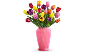 We did not find results for: Flowers Delivery 4 U In Sheffield Groupon